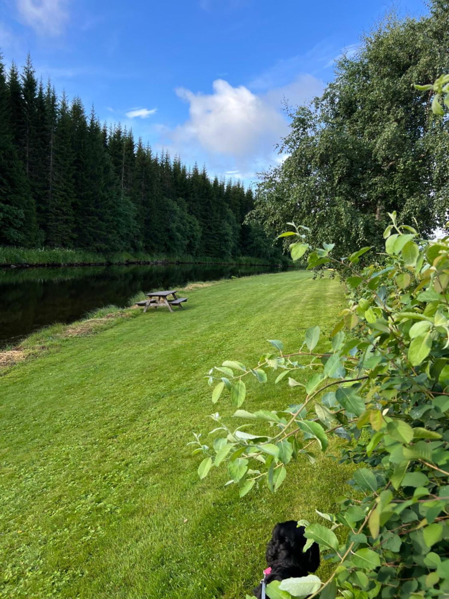Gullvag Camping Nyberg Soknedal Exterior foto